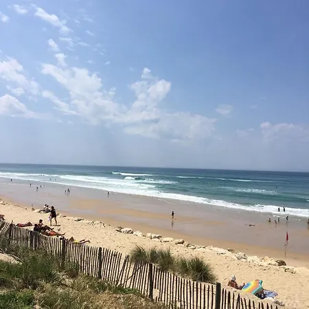 Apartment 2 Pieces Face Ocean, Lacanau